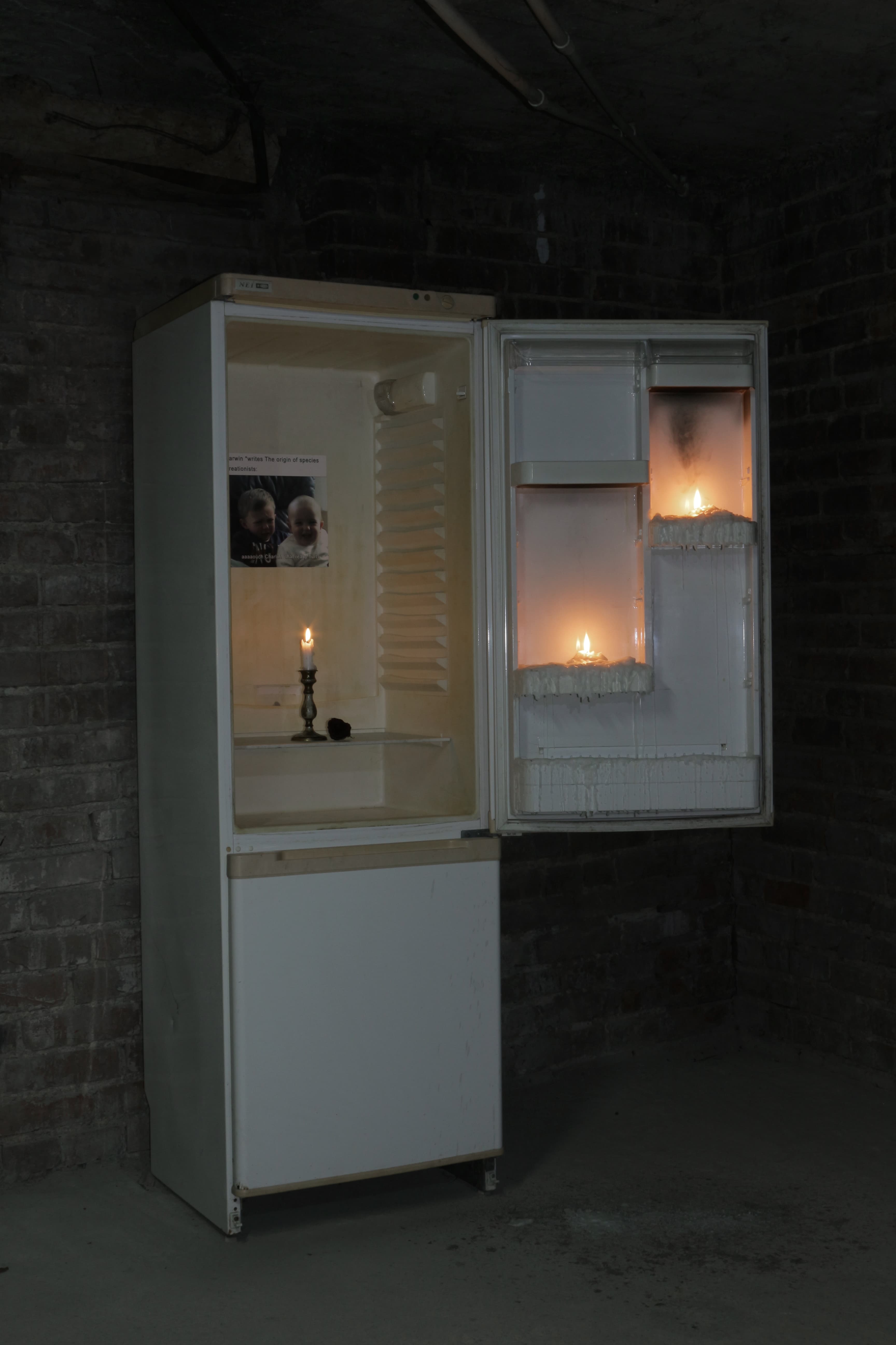 Charles 2019, paraffin, refrigerator, inkjet print, candle holder, dead rose, 200 x 60 x 80 cm by Matei Dumitriu