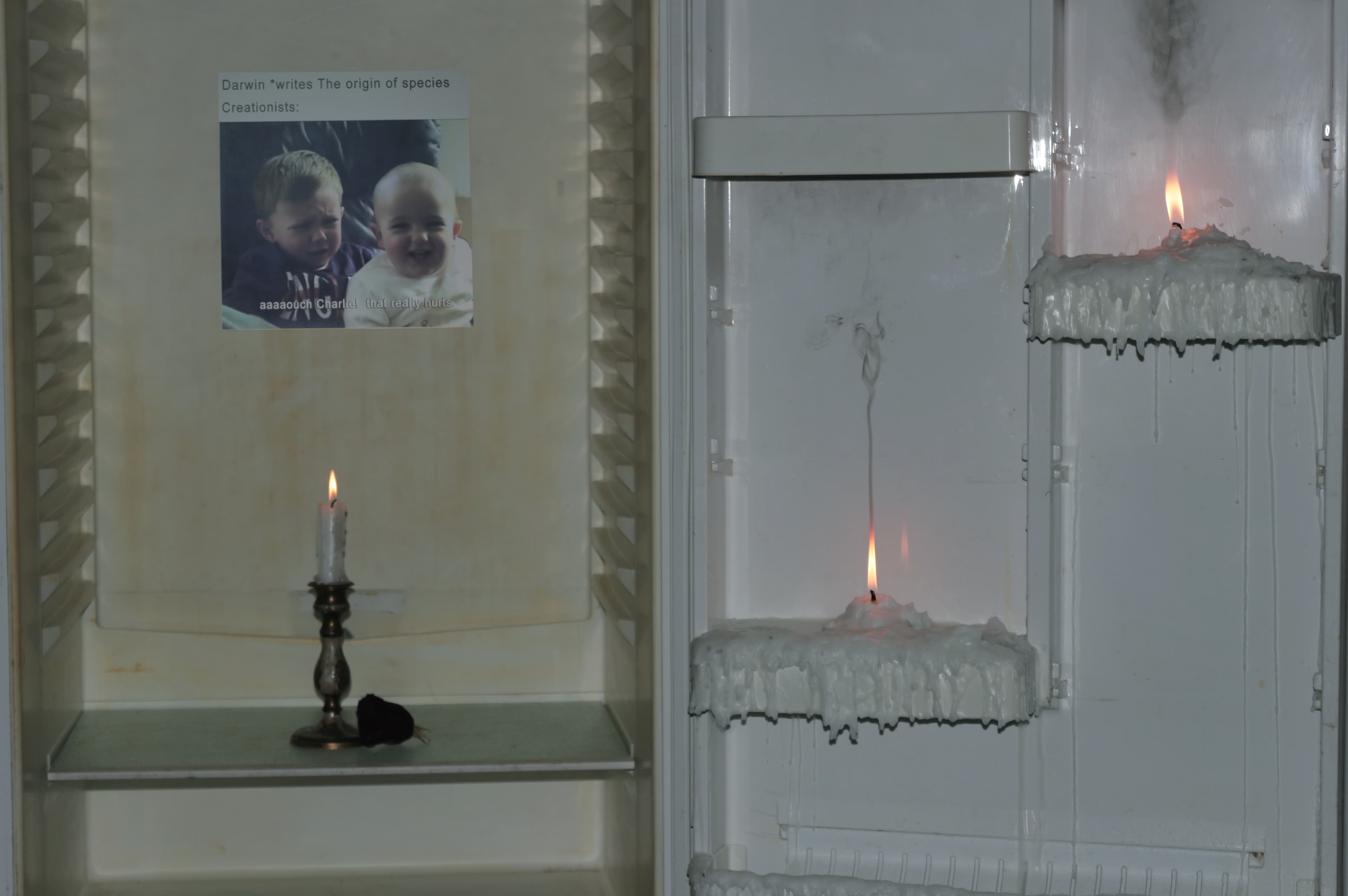 Charles (detail) 2019, paraffin, refrigerator, inkjet print, candle holder, dead rose by Matei Dumitriu
